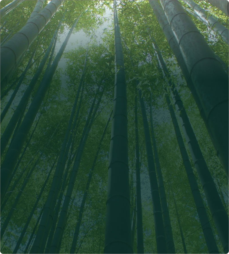 ������(�й���)�ٷ���վ-App Store