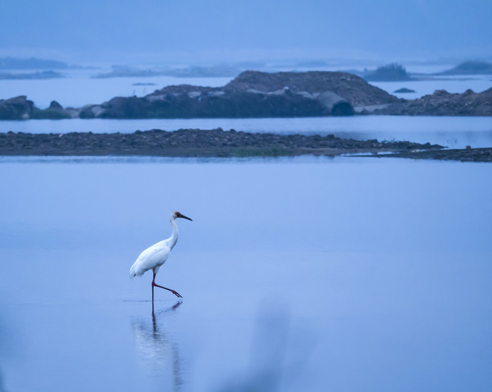 ������(�й���)�ٷ���վ-App Store