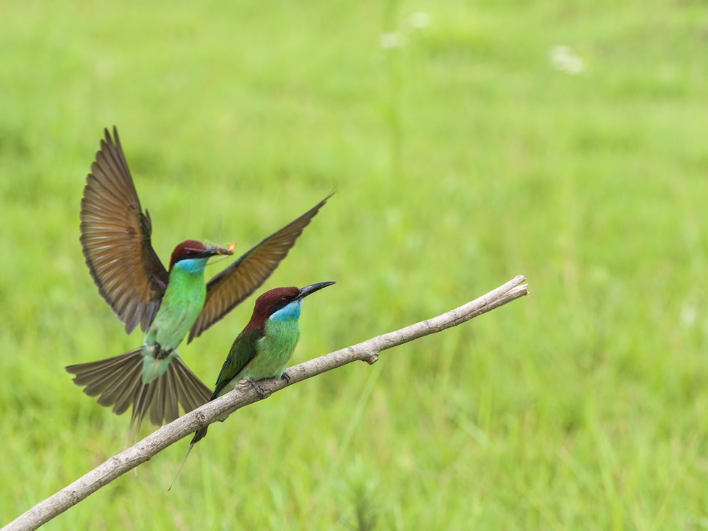 ������(�й���)�ٷ���վ-App Store