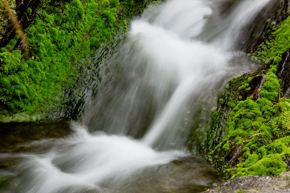 ������(�й���)�ٷ���վ-App Store