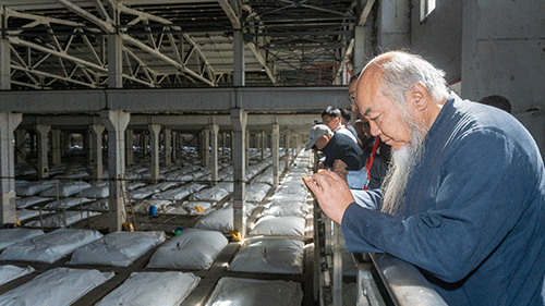 1729241120107451.gif 3.gif